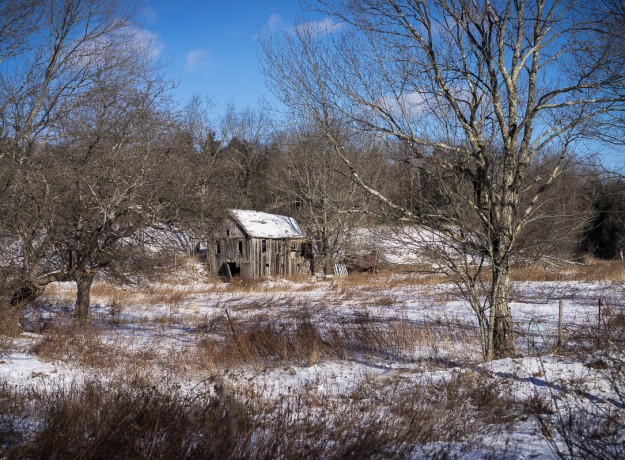 Sony A7r w/ E-Mount Zeiss 55mm f/1.8 lens - @ f/4, ISO 100, 1/1600sec, Raw Quality