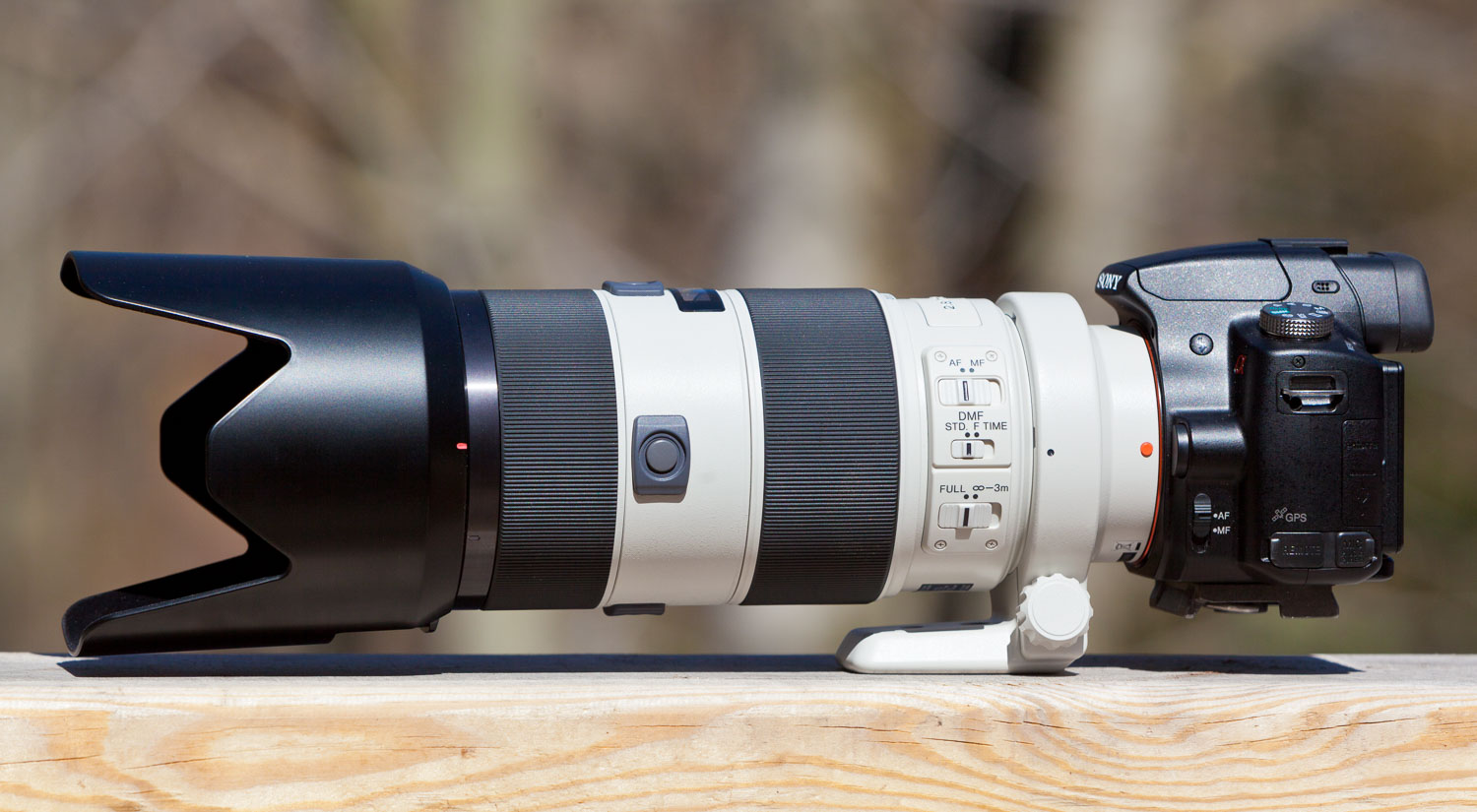 My Sony 70-200mm f/2.8 APO G SSM Lens Review – SonyAlphaLab