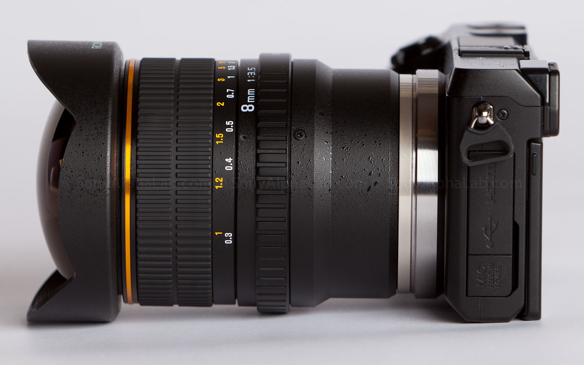 My Rokinon E-Mount 8mm f/3.5 Fisheye Lens Review | Real My Rokinon E-Mount 8mm f/3.5 Fisheye Lens Review | Real