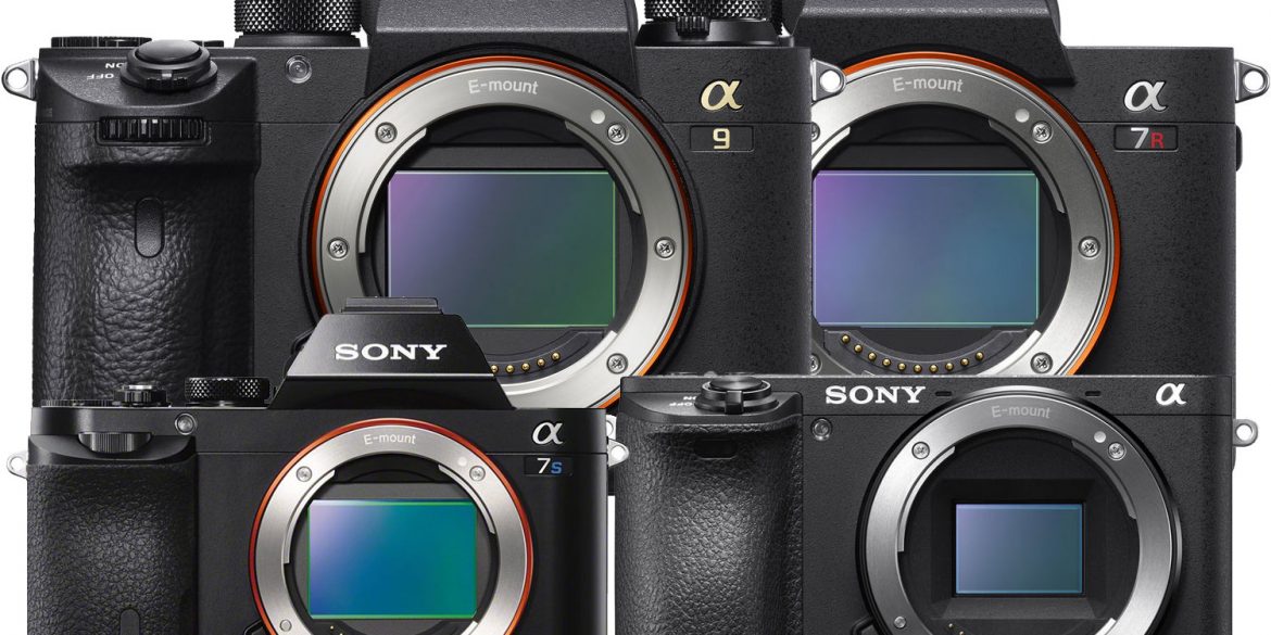 sony mirrorless camera guide