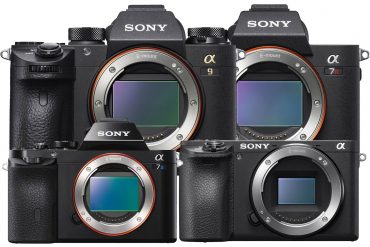 sony mirrorless camera guide