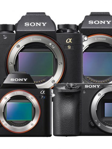 sony mirrorless camera guide