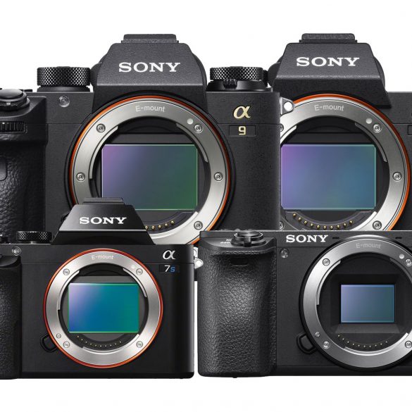 sony mirrorless camera guide