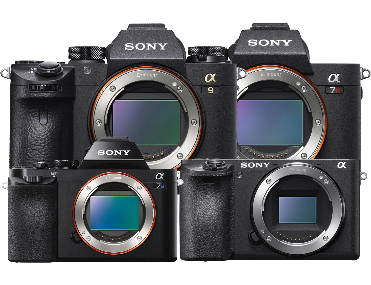 sony mirrorless camera guide