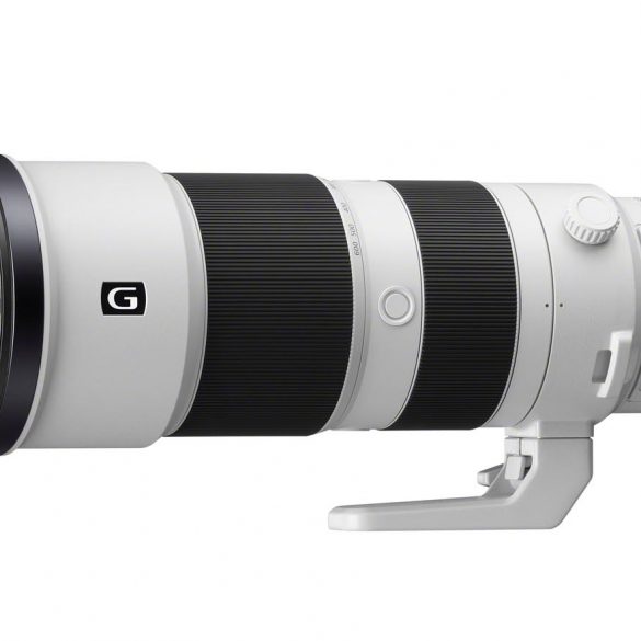 Sony FE 200-600mm f/5.6-6.3 G OSS Lens