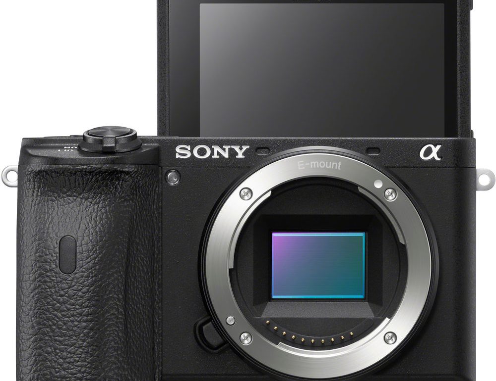 Sony A6600 Reviews