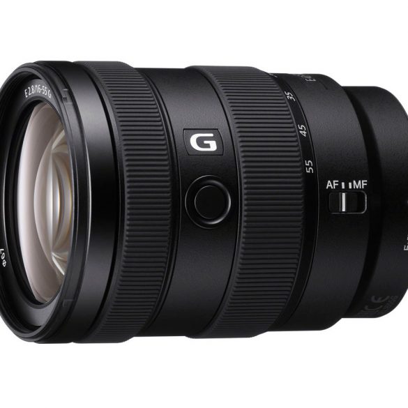 Sony E 16-55mm f/2.8 G Lens Reviews