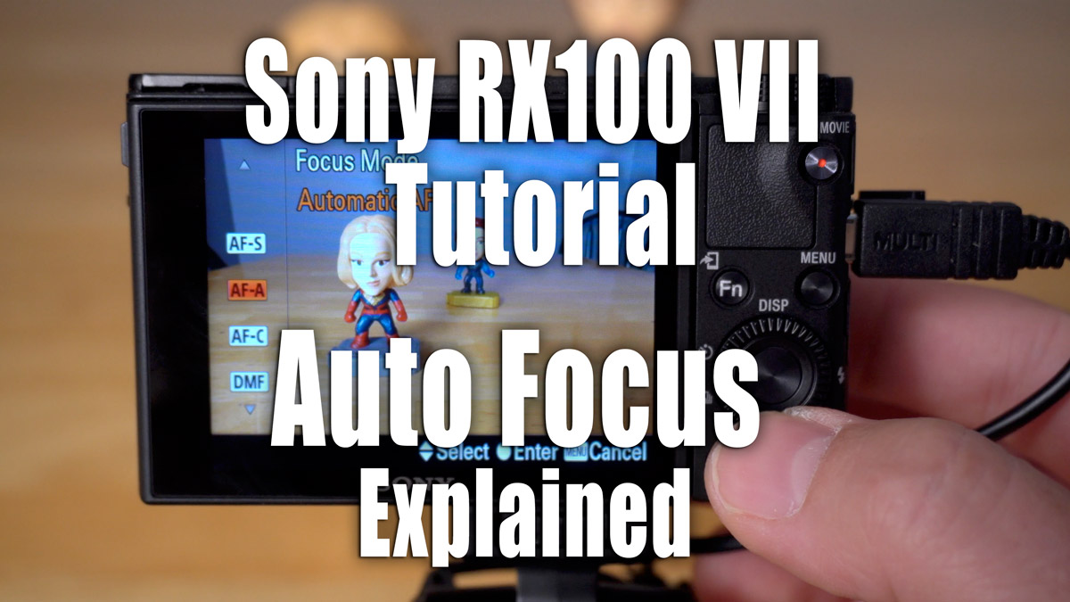 Sony RX100 VII Tutorial – Auto Focus Explained – SonyAlphaLab Sony RX100 VII Tutorial – Auto Focus Explained – SonyAlphaLab