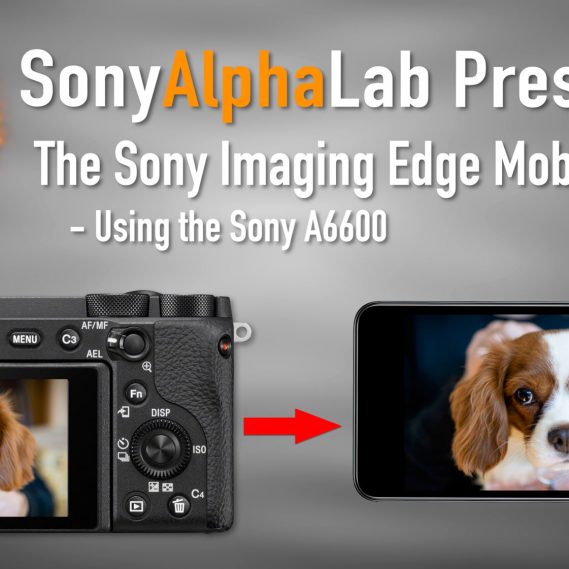Sony Imaging Edge Mobile App Tutorial
