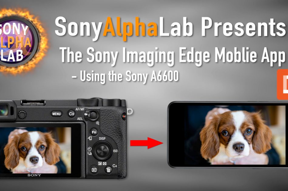 Sony Imaging Edge Mobile App Tutorial