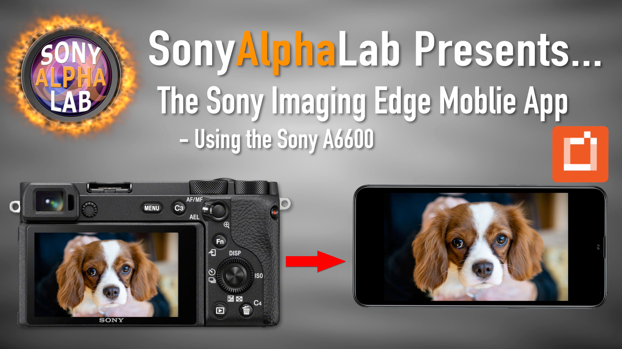 Sony Imaging Edge Mobile App Tutorial