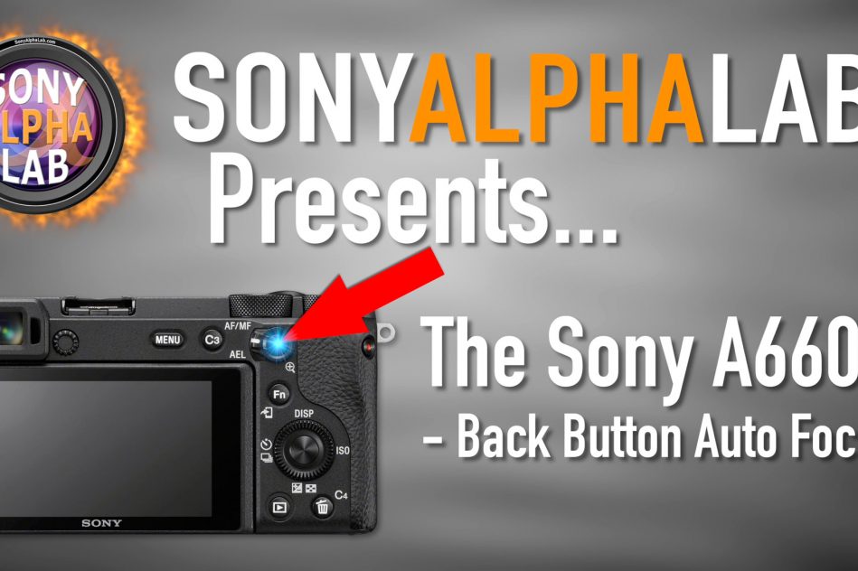 Sony A6600 Tutorial - Back Button Focus