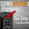 Sony A6600 and The Function Menu (Fn) - How To Use and Customize...