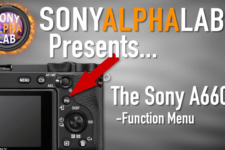 Sony A6600 and The Function Menu (Fn) - How To Use and Customize...