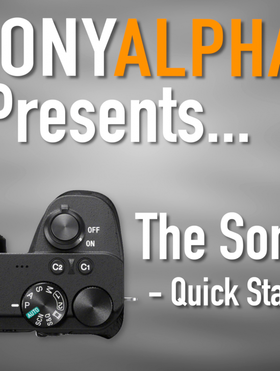 Sony A6600 - Quick Start Guide for Beginners - Skip the Manual...