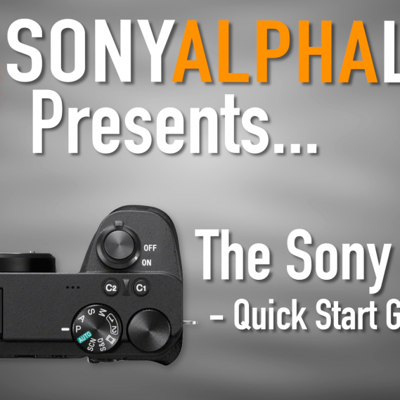 Sony A6600 - Quick Start Guide for Beginners - Skip the Manual...