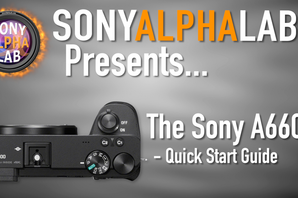 Sony A6600 - Quick Start Guide for Beginners - Skip the Manual...