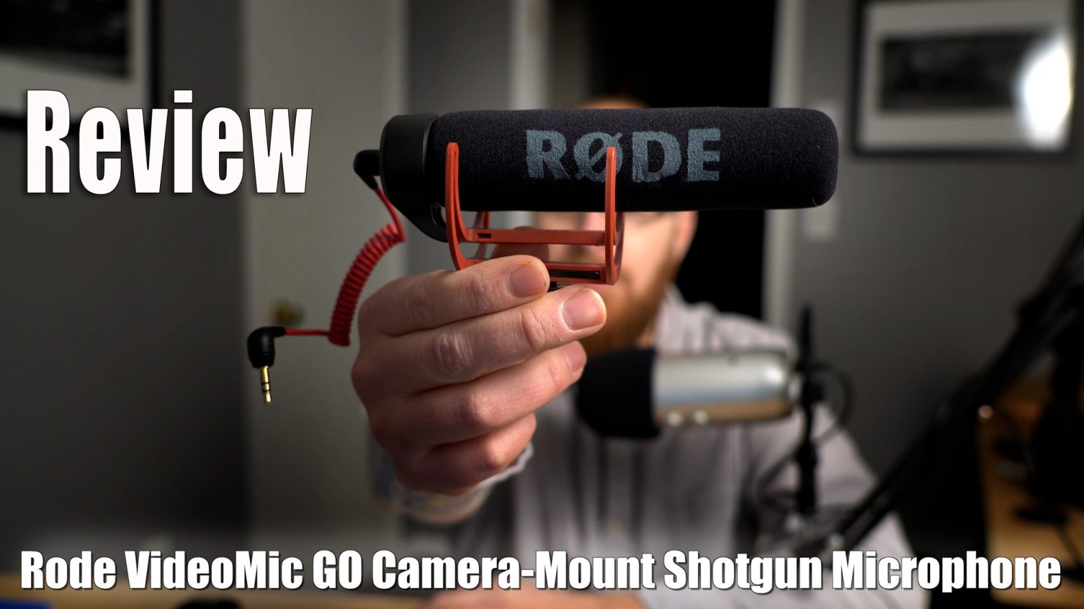 Rode VideoMic GO Shotgun Microphone Review SonyAlphaLab