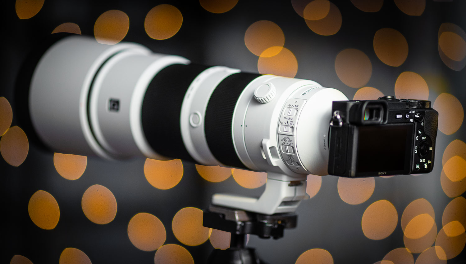 My Sony FE 200-600mm G OSS Lens Review using Sony A6600 – SonyAlphaLab