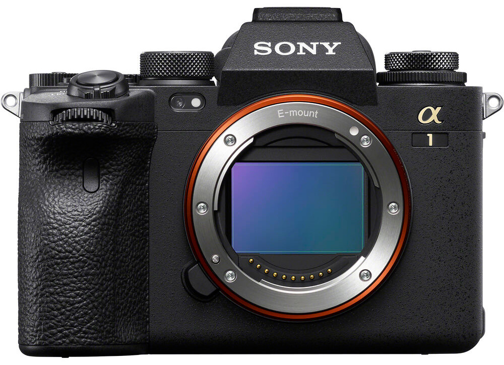 Sony Mirrorless Camera Guide SonyAlphaLab