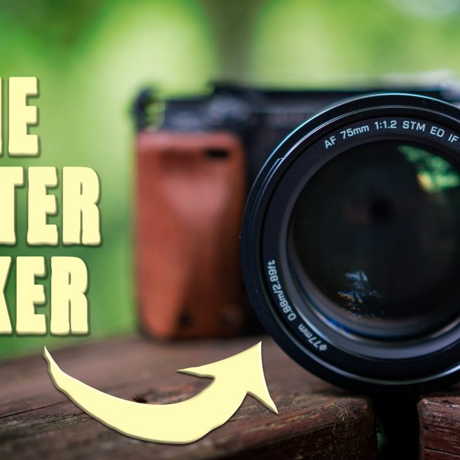 Viltrox AF 75mm f/1.2 Lens Review | The Butter Maker